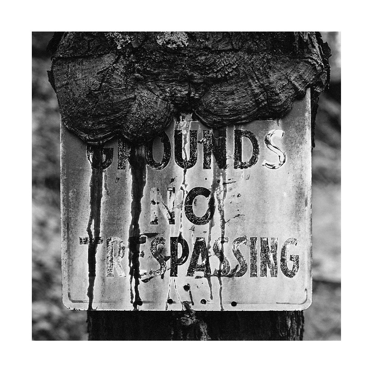 1bfineartphotography_whiteframe_2016_website