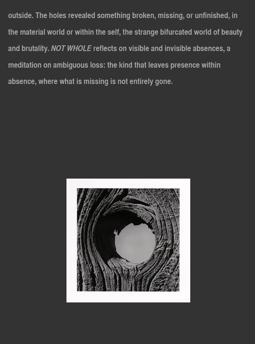 NOT-WHOLE---Artist-Statement---Website---Page-2---October-21,-2025.jpg