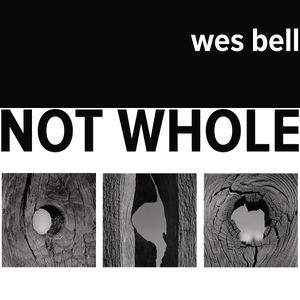 NOT-WHOLE---Website-Opening-Page.jpg
