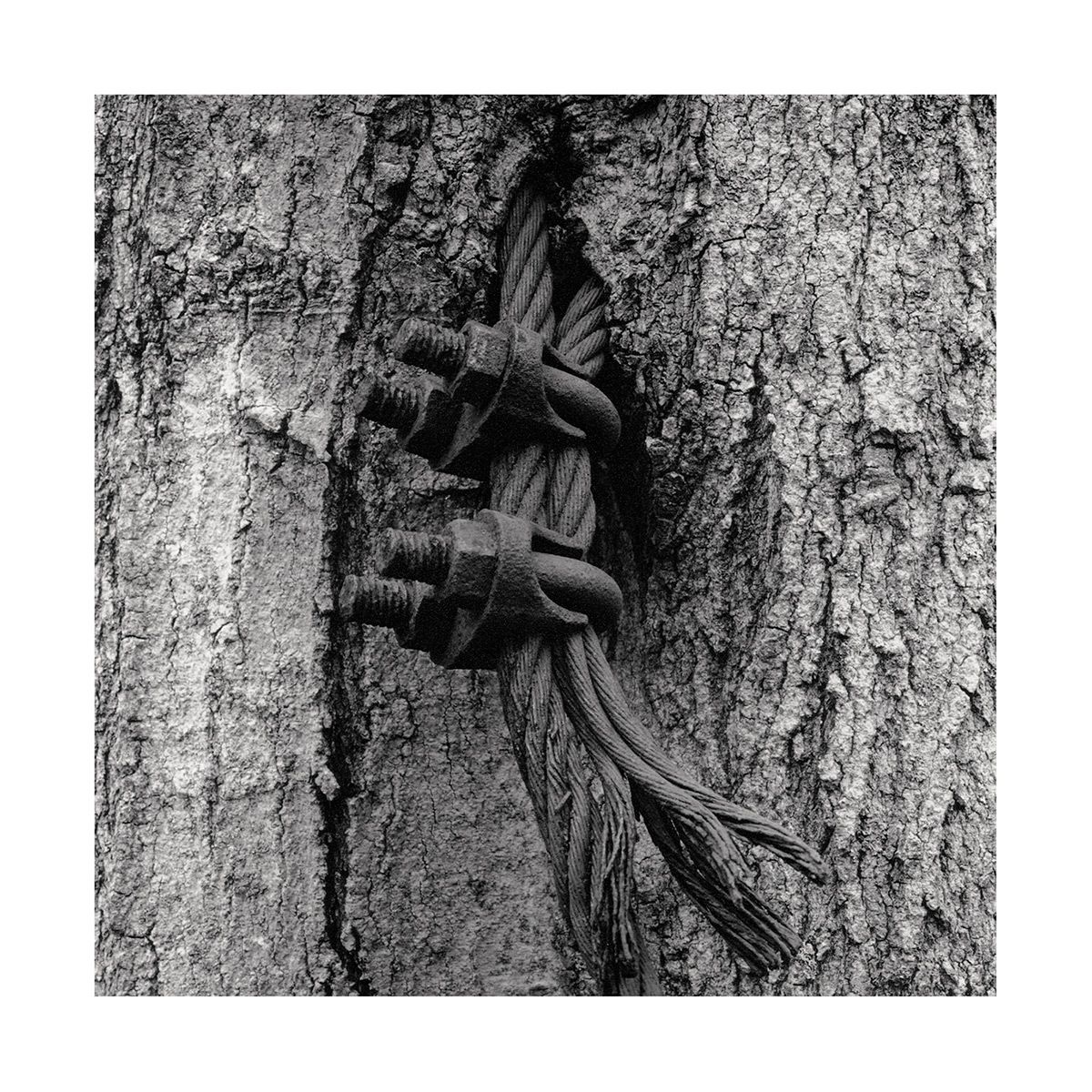 1roll_86_neg_8_51_3_website