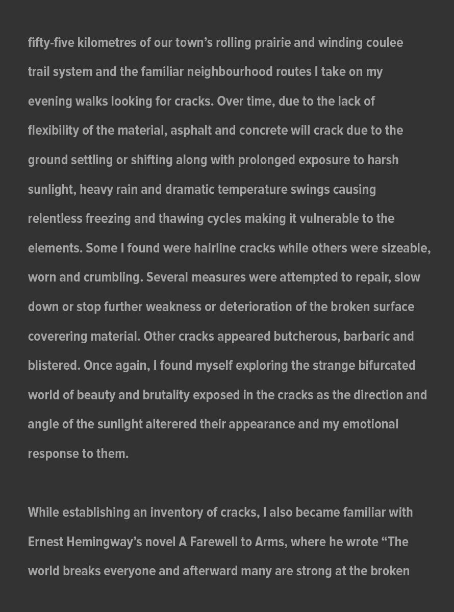 Falling_Through_The_Cracks_Artist_Statement_Jan_2023_page_2.jpg