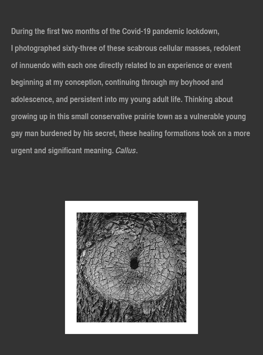Revised---Nov.-2025---Callus_Artist_Statement_October_24_2020_page_2.jpg