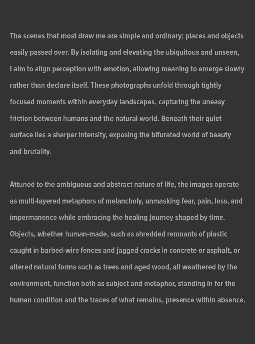 *Artist-Statement---Website-Updated-Page-1---August-19,-2026-copy.jpg