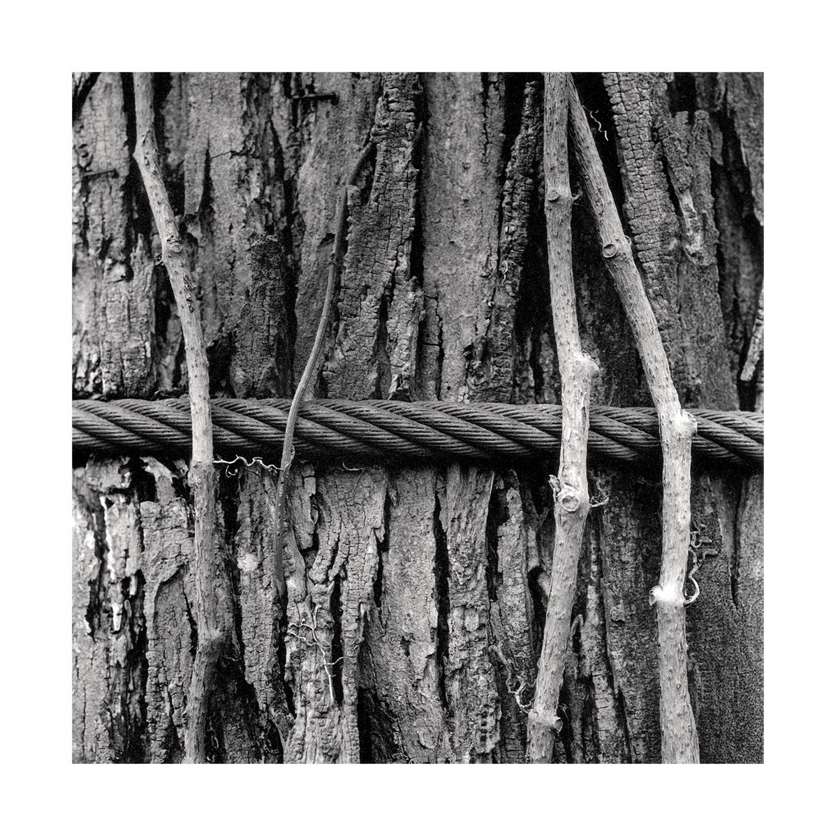 1roll_49_neg_3_43_44_3_website