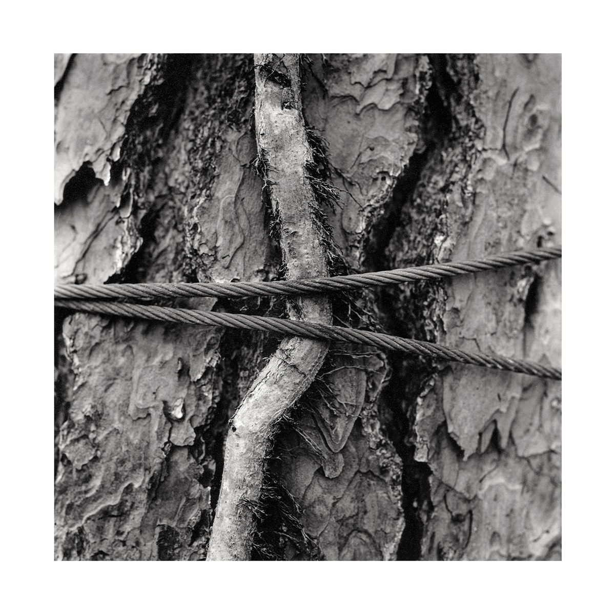 1roll_87_neg_8_50_3_website