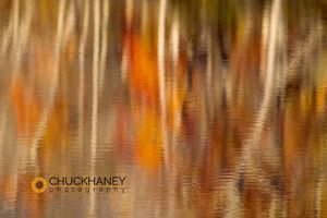 Autumn colors reflect in the calm water of Price Lake along the Blue Ridge Parkway in North Carolina Price Lake Reflection
