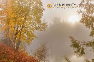 Foggy sunrise over the Slocan River in autumn near Winlaw, British Columbia, Canada Slocan River Autumn