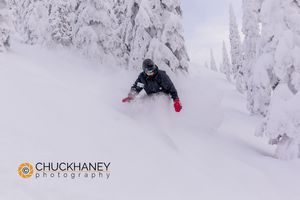 Skiing powder on Evan's Heaven at Whitefish Mountain Resort in Whitefsh, Montana, USA model released Evans Powder