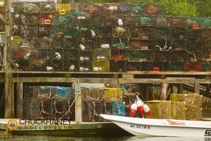 Lobster traps in Bunker Harbor, Maine, USA Lobsters