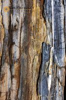 Striated rock at Pemaquid Point, Maine, USA Pemaquid-Lighthouse_018-508.jpg
