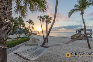 Hammock at sunrise at The Reach Resort in Key West, Florida, USA Key-West_032-447.jpg