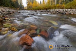 Coal-Creek-Autumn_028-586.jpg