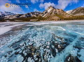 Mt Abraham at sunrise and methane ice bubbles under clear ice on Abraham Lake near Nordegg, Alberta, Canada Abraham-Ice-Bubbles_063-445.jpg
