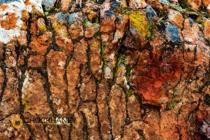 Colorful rock outcroppings near Jones Creek in Theodore Roosevelt National Park, North Dakota Rock art