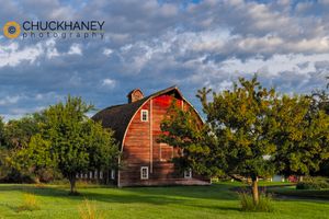 Edmiston-Barn-Summer_001-552.jpg