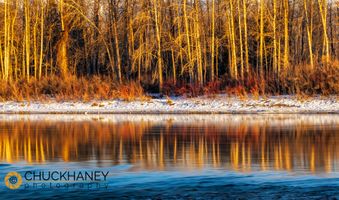 Flathead-River-Reflect_006-516.jpg