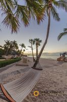 Hammock at sunrise at The Reach Resort in Key West, Florida, USA Key-West_028-447.jpg