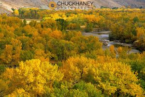 Autumn color on the Two Medicine river