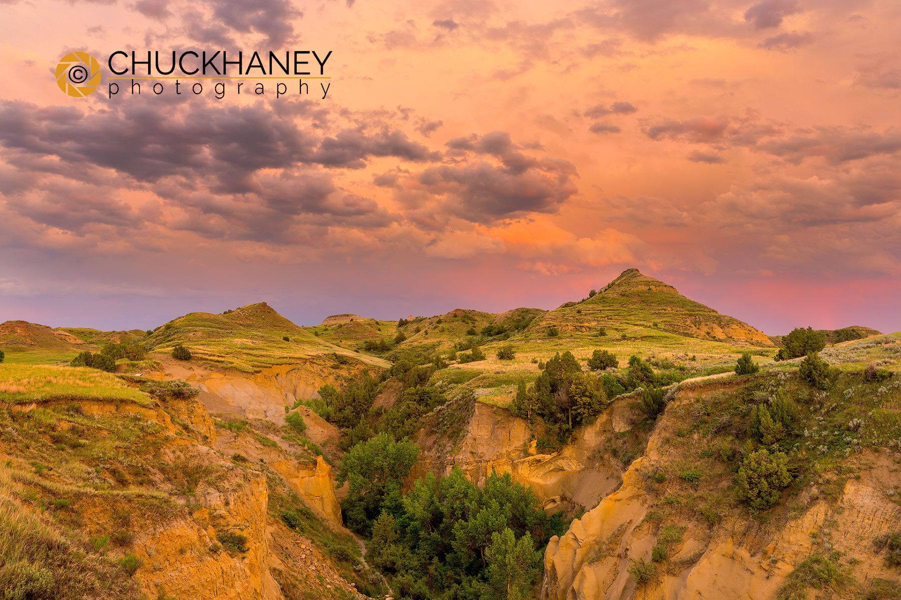 Theodore Roosevelt National Park