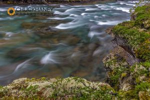 Mossy cliffs above rapids in McDonald Creek in Glacier National Park, Montana, USA McDonald-Creek-Moss_026-copy.jpg