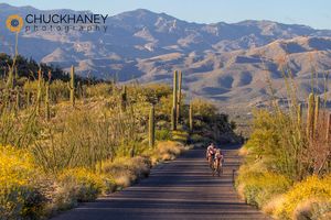 Saguaro Road bike