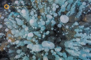 Abraham-Ice-Bubbles_080-445.jpg