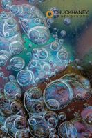 Macro of bubbles forming under ice along the edge of Lake McDonald in Glacier National Park, Montana, USA Ice-Bubbles_004-415.jpg