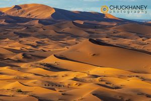 Sahara-Dunes_037-574.jpg