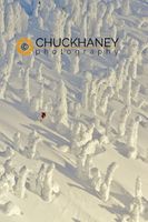 Alpine Skier in thick snowghosts at Whitefish Mountain Resort in Whitefish, Montana model released Snowghost Ski