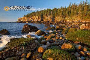 Polished rocks at Otter Cliffs in Acadia National Park, Maine, USA Acadia National Park