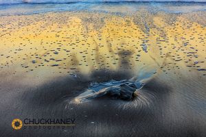 Sea foam from receding waves on Rilato Beach in Olympic National Park, Washinton, USA Olympic-National-Park_013-copy.jpg