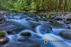 Cascade in the South Fork of the McKenzie River in the Willamette National Forest, Oregon, USA Mckenzie_river_s_fk_002_400.jpg