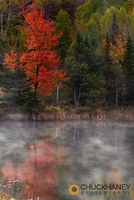 Autumn Trees Reflect in Morning Mist in small pond near Marquette, Michigan, USA Marquette-Autumn-Pond_001-571.jpg