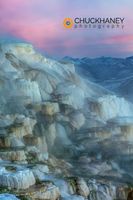 Canary Spring at sunrise at Mammoth Hot Springs in winter in Yellowstone National Park, Wyoming, USA Canary-Spring-Winter_008-copy.jpg