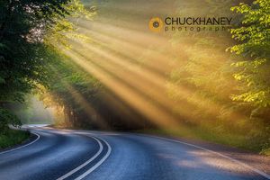 Fog rays over Pierre Stocking Drive in Sleeping Bear National Lakeshore near Empire, Michigan, USA Sleeping Bear National Lakeshore