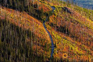 Werner-Road-Autumn_002-586.jpg
