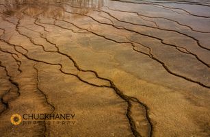 Travertine patterns at Grand Prismatic Sspring in winter in Yellowstone National Park, Wyoming, USA Grand-Prismatic-Spring_003-446.jpg