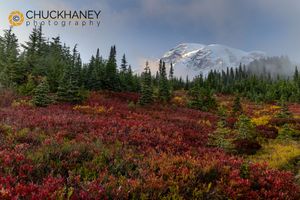 Mount-Rainier-NP_093-537.jpg