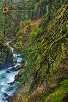 Sol Duc River in Olympic National Park, Washington, USA Olympic-NP_079-450.jpg