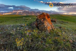 Castle-Reef_011-493.jpg