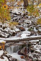 Hellroaring Creek with seasons first snow near Whitefish Montana Hellroaring Creek Snowfall