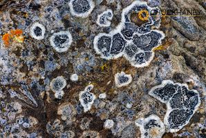 Sandstone-Art_017-2-583.jpg