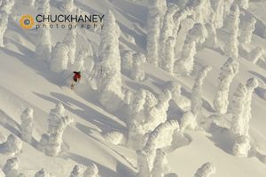 Alpine Skier in thick snowghosts @ Big Mountain Resort in Whitefish, Montana model released Snowghost Ski
