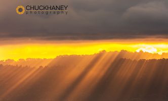 Amazing sun rays emit from morning sunrise over San Francisco Bay in San Francisco, California, USA Bay_sunrise_032_2_392.jpg