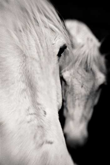 Duest For Keith, 2010