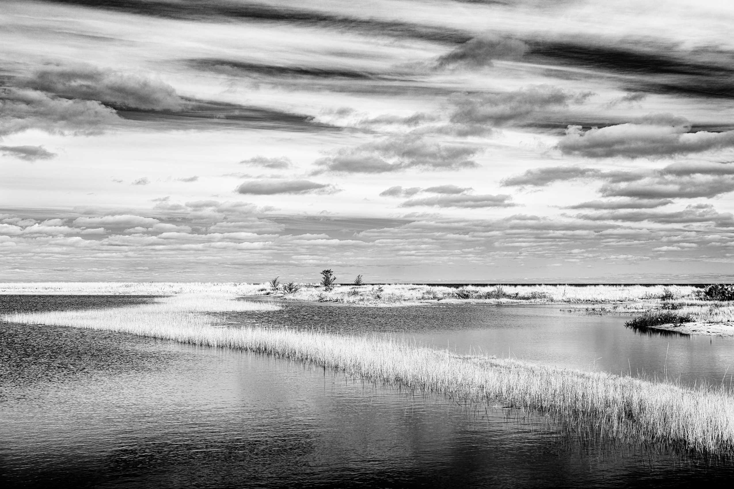 30x20" Archival Pigment Print. Infrared photograph of the tidal marsh adjacent to the Edgartown Lighthouse. November 2023 Lighthouse Marsh, Edgartown, Martha's Vineyard, MA