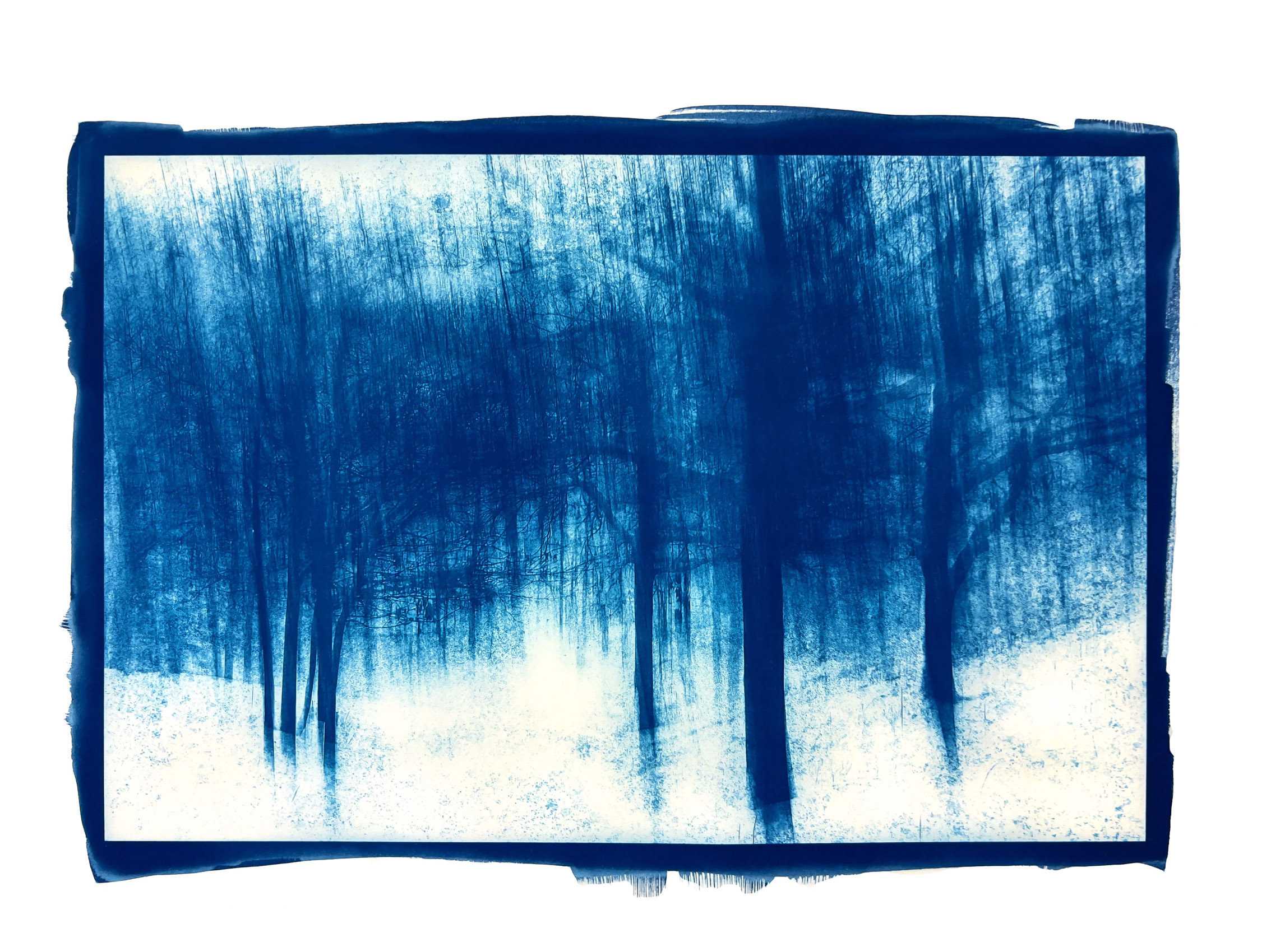 Cyanotype Contact Print. Intentional Camera Movement transforms a snow covered trail for this Cyanotype Contact Print Snowy Grove, Tisbury Meadow, Vineyard Haven, MA