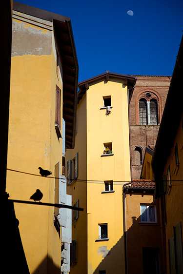 Moonrise Over Doves, Bologna 2008