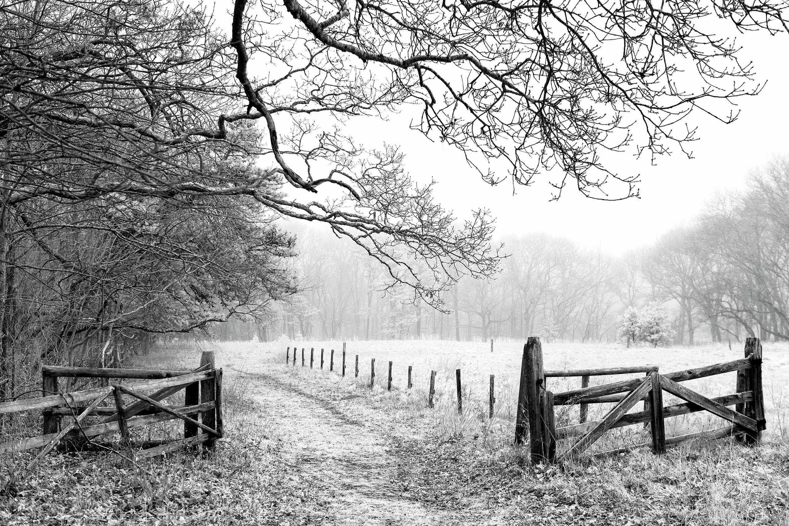 Open Gate, Tashmoo Farm, Vineyard Haven, MA