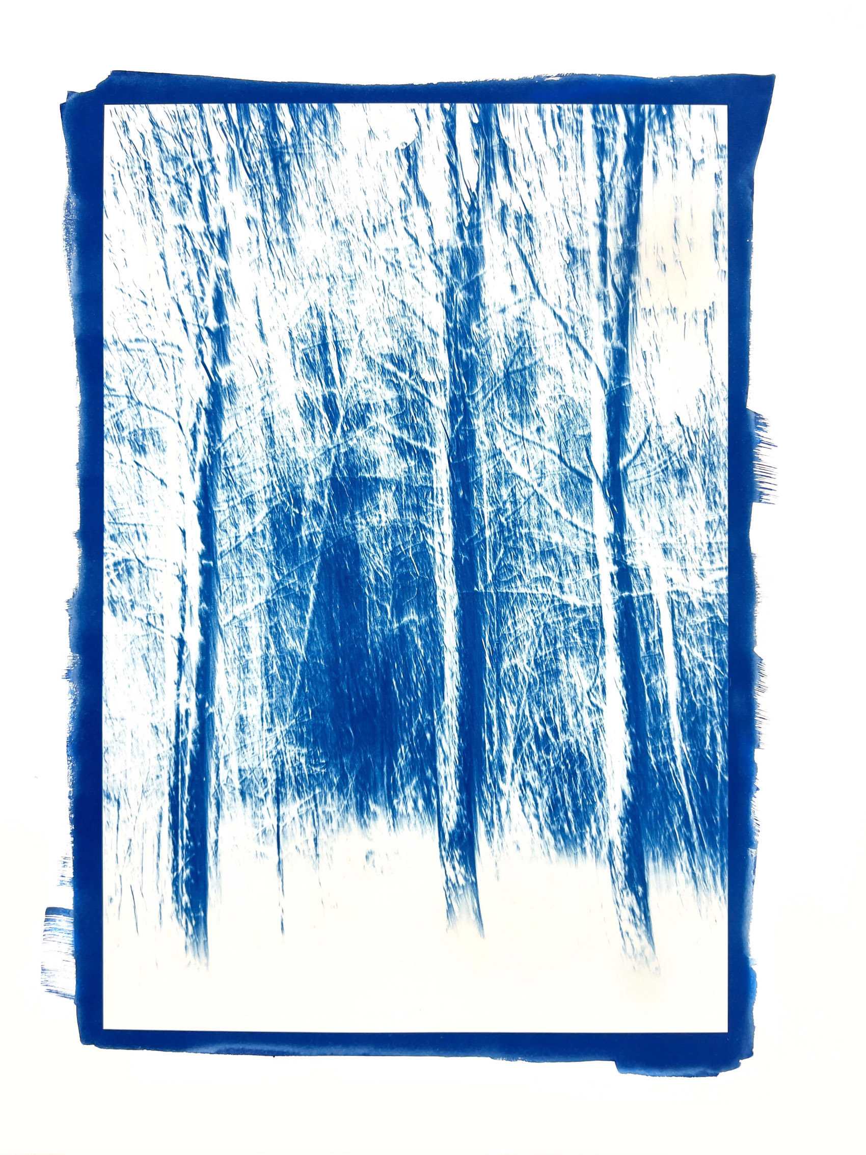 Cyanotype Contact Print. Intentional Camera Movement produces an ethereal atmosphere in the woods at my home. Winter Pines, West Tisbury, MA